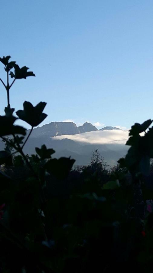 Willa U Slodkiego Zakopane Buitenkant foto