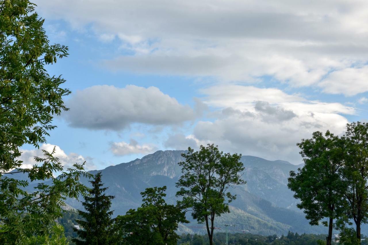 Willa U Slodkiego Zakopane Buitenkant foto